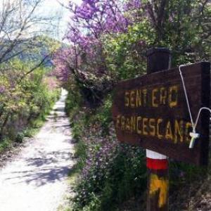 La Sosta B&B Stroncone Dış mekan fotoğraf